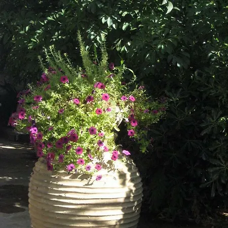 Traditional Stone House With Beautiful Garden וילה